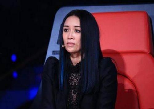 那英家族资料,音乐世家，星光璀璨